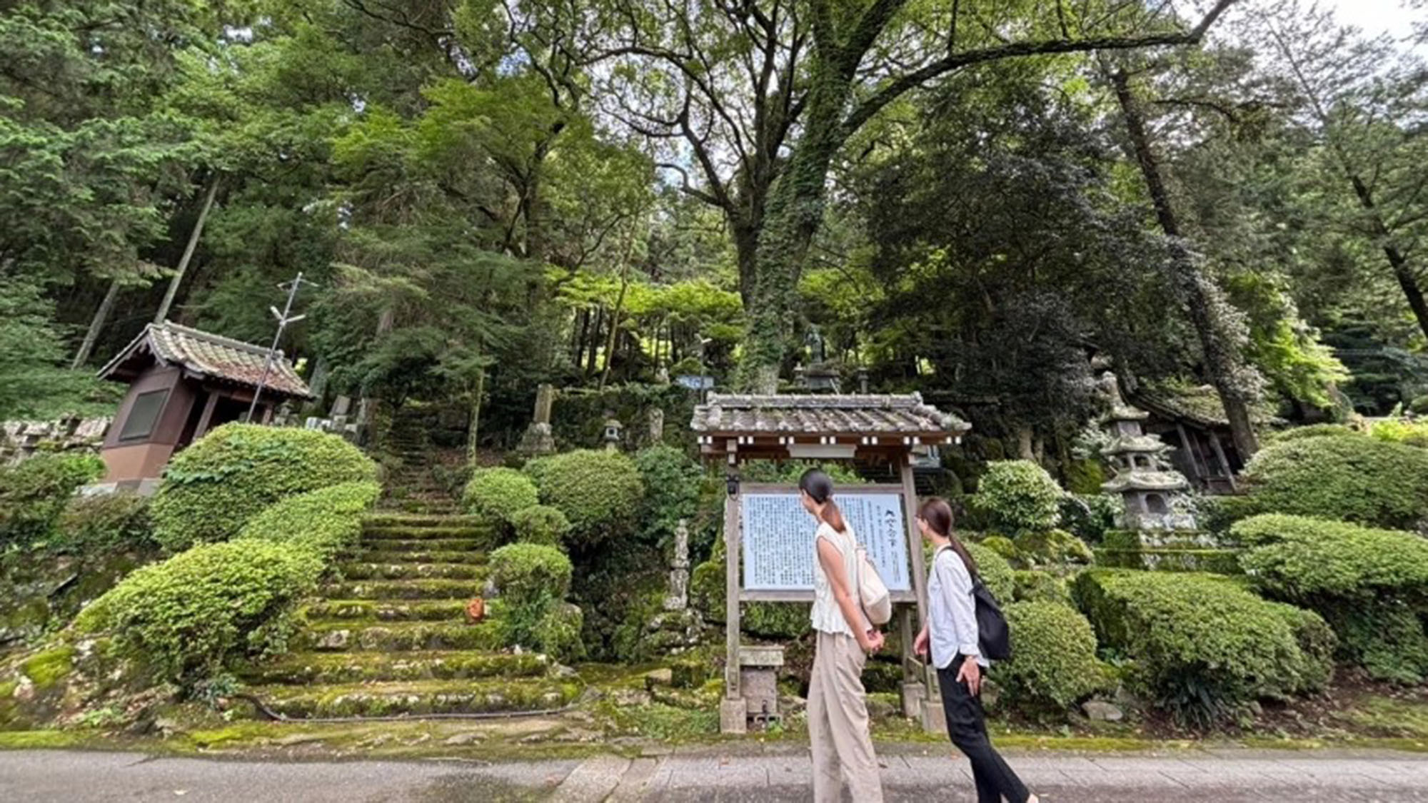 木々に囲まれた禅寺で癒しの座禅体験プラン　季節の朝食付き