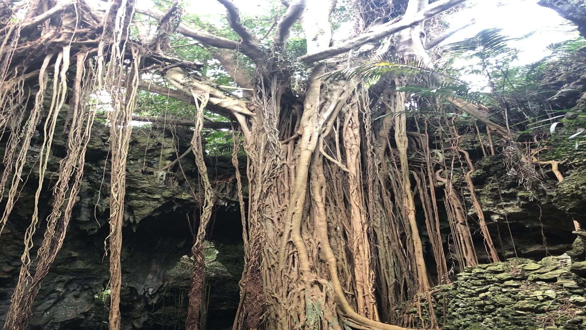 【ガンガラーの谷】当館から車で約11分