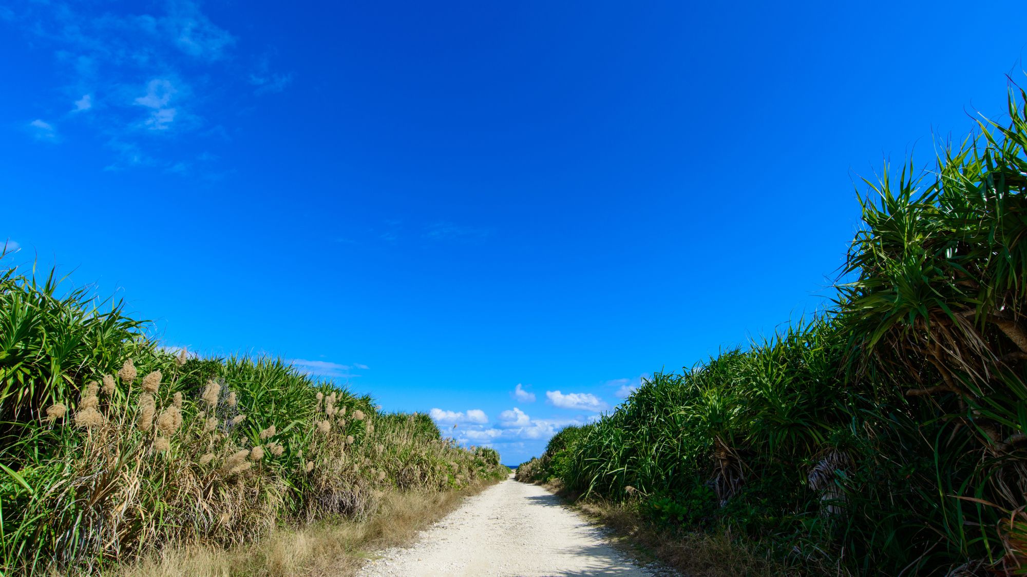 久高島