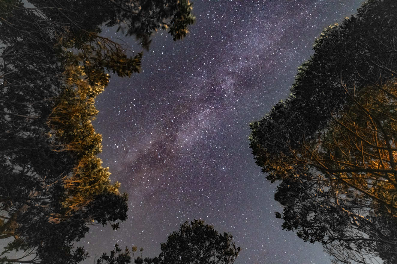 楽しみ方は色々！グランピングに素泊まりプラン