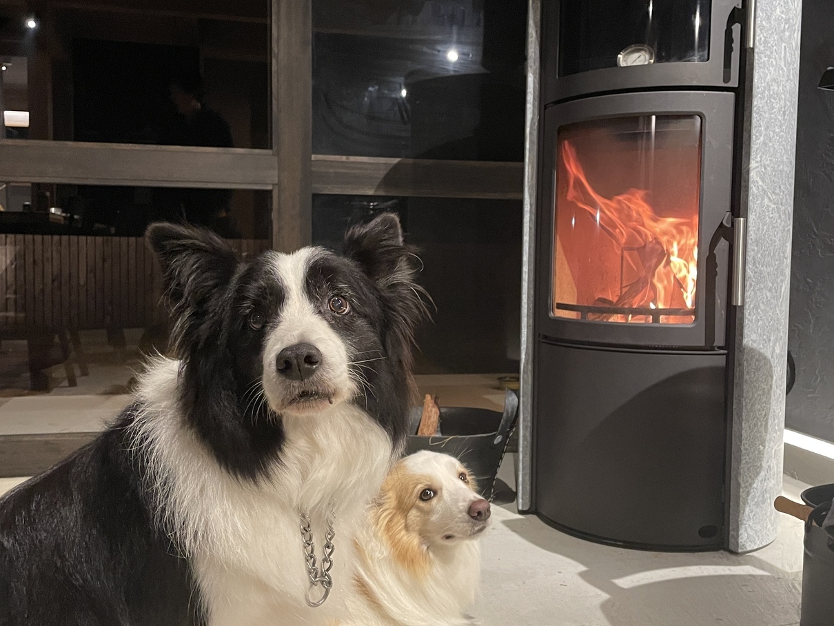 【一番おすすめ！！】料理長こだわりの本格グリルBBQコース料理プラン 【1泊2食付き】