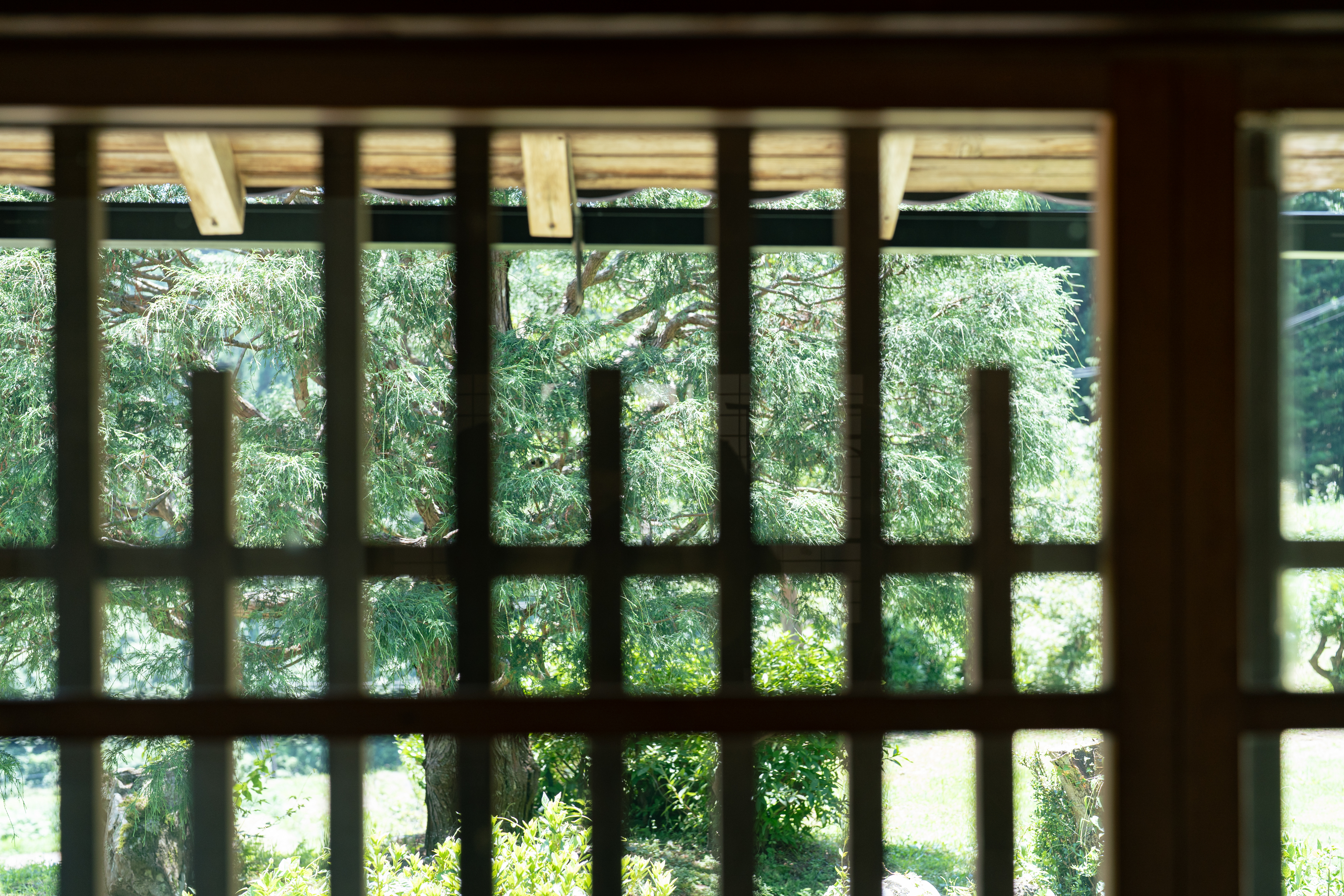 風景9