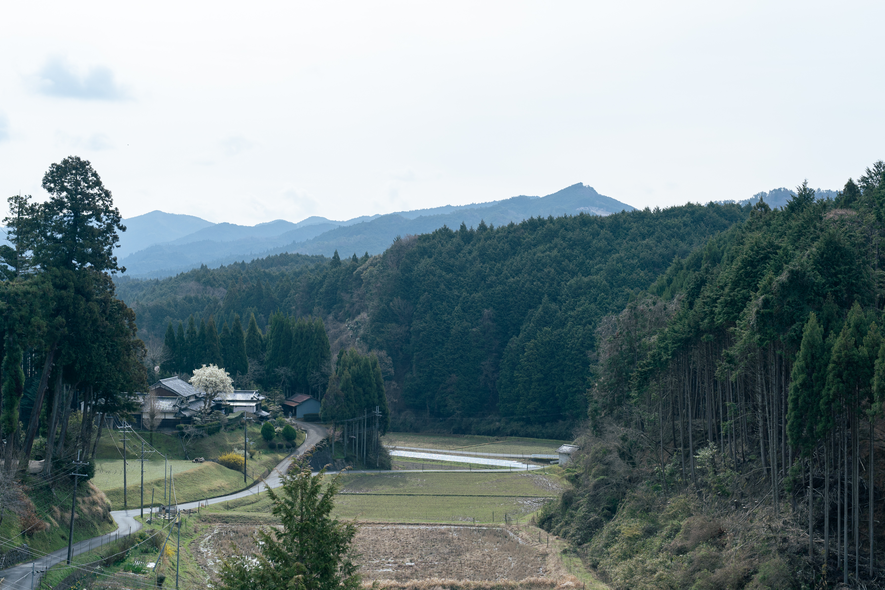風景10