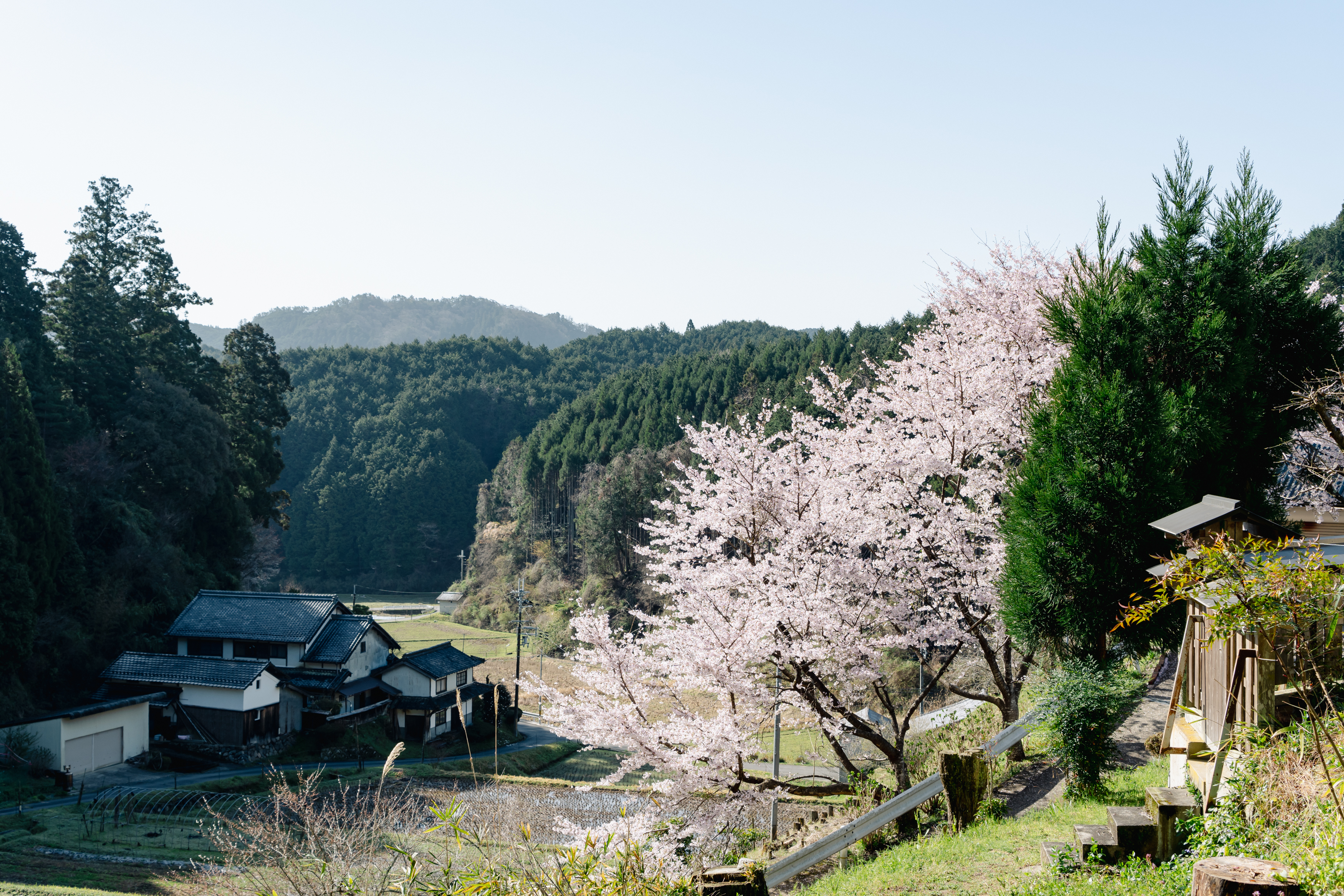 風景6