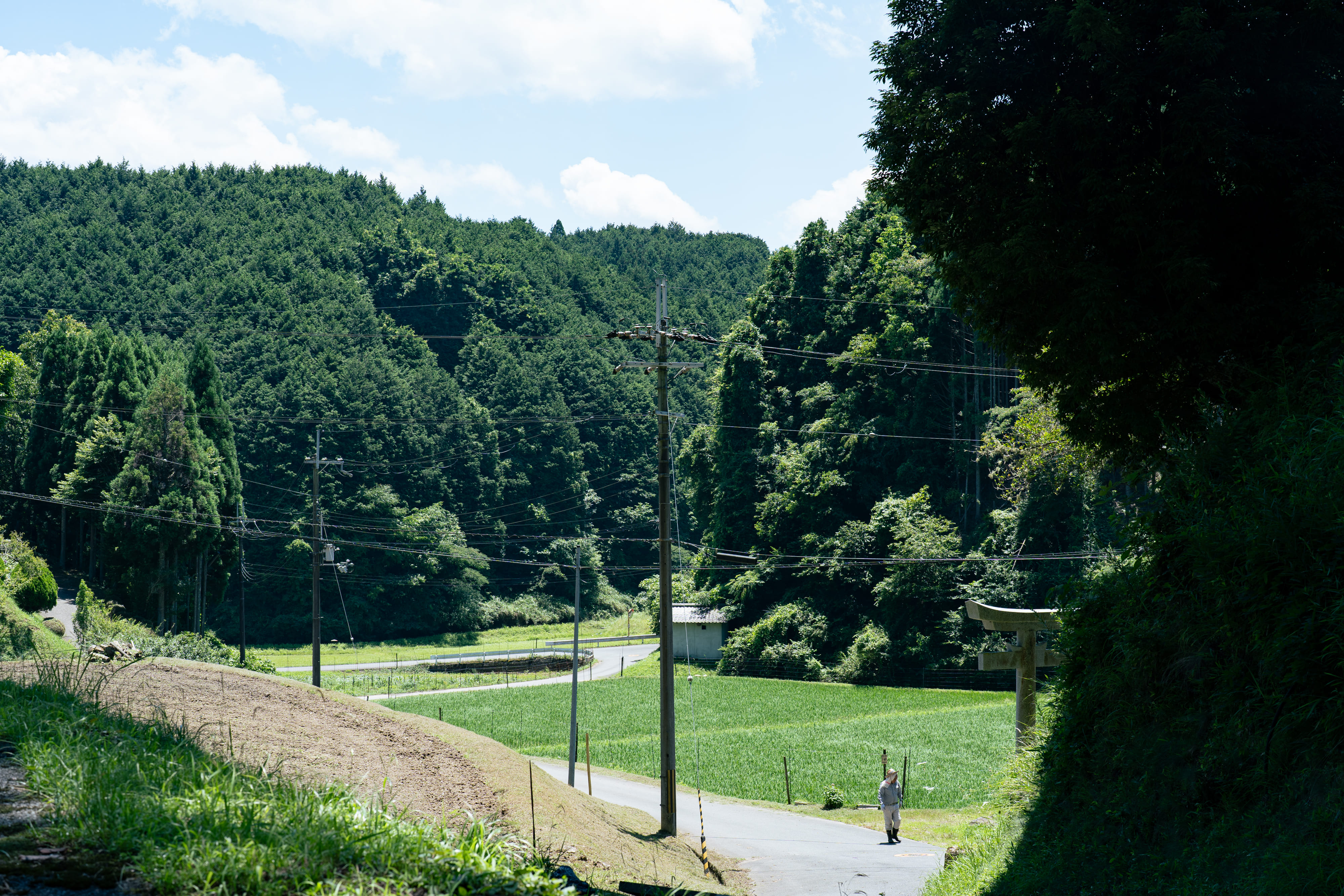 風景8