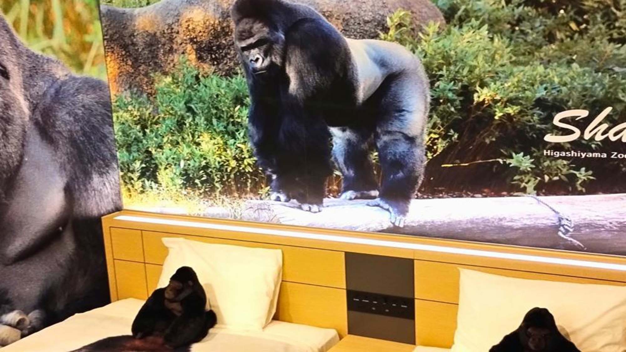 【イケメンゴリラシャバーニルーム】非売品マグカップ＆アイマスク＆東山動植物園1日観覧券付（朝食付き）