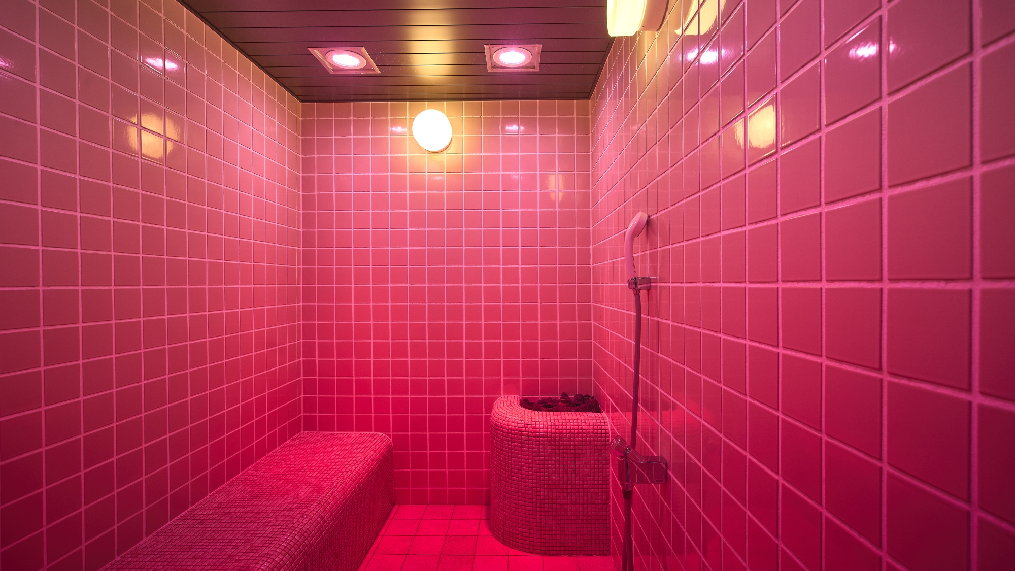 サウナ美蒸 -Bijo