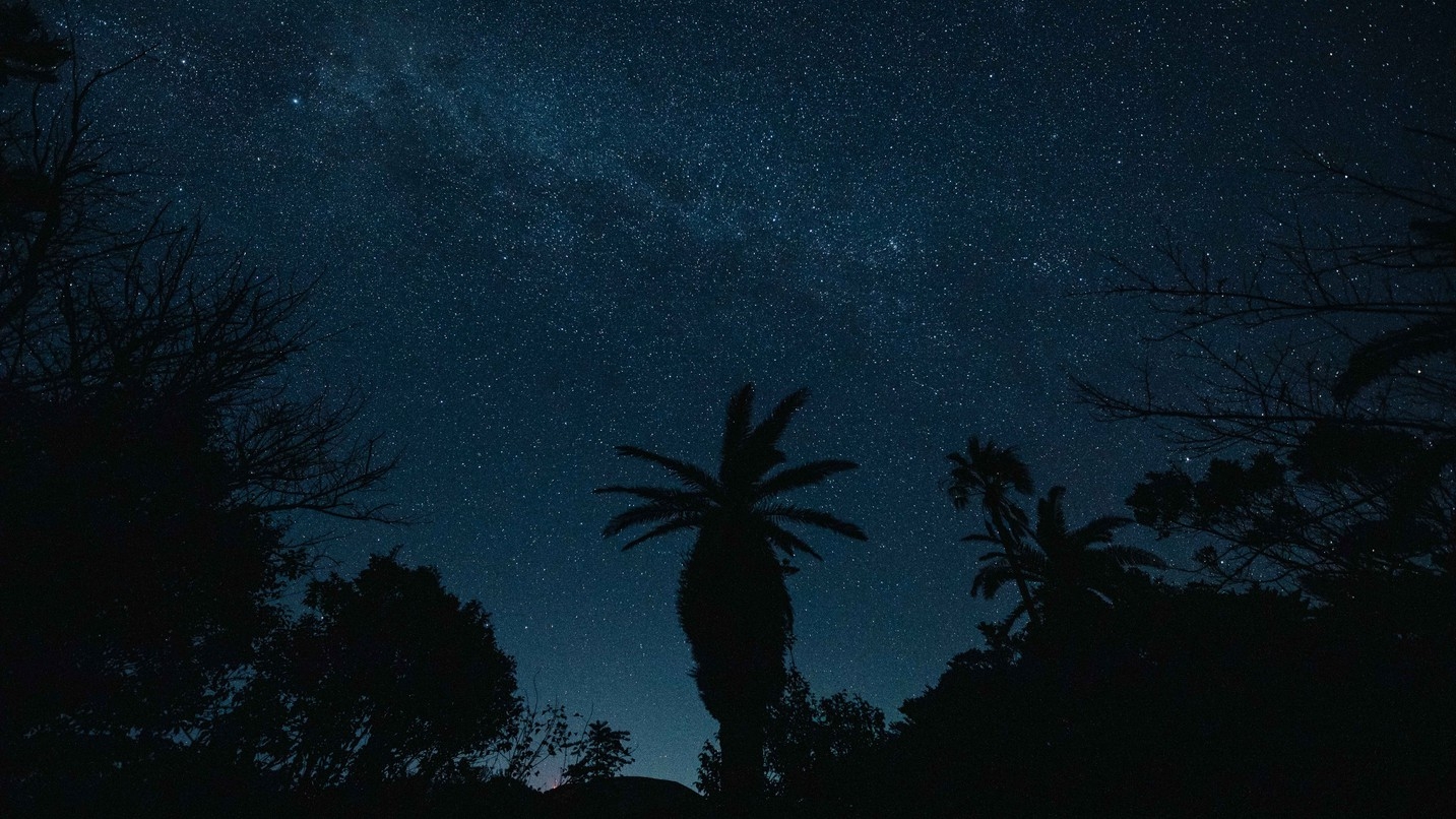 【special offer最大50％OFF｜二食付｜夕食19:30】旬の五島を味わう【〜3/14】