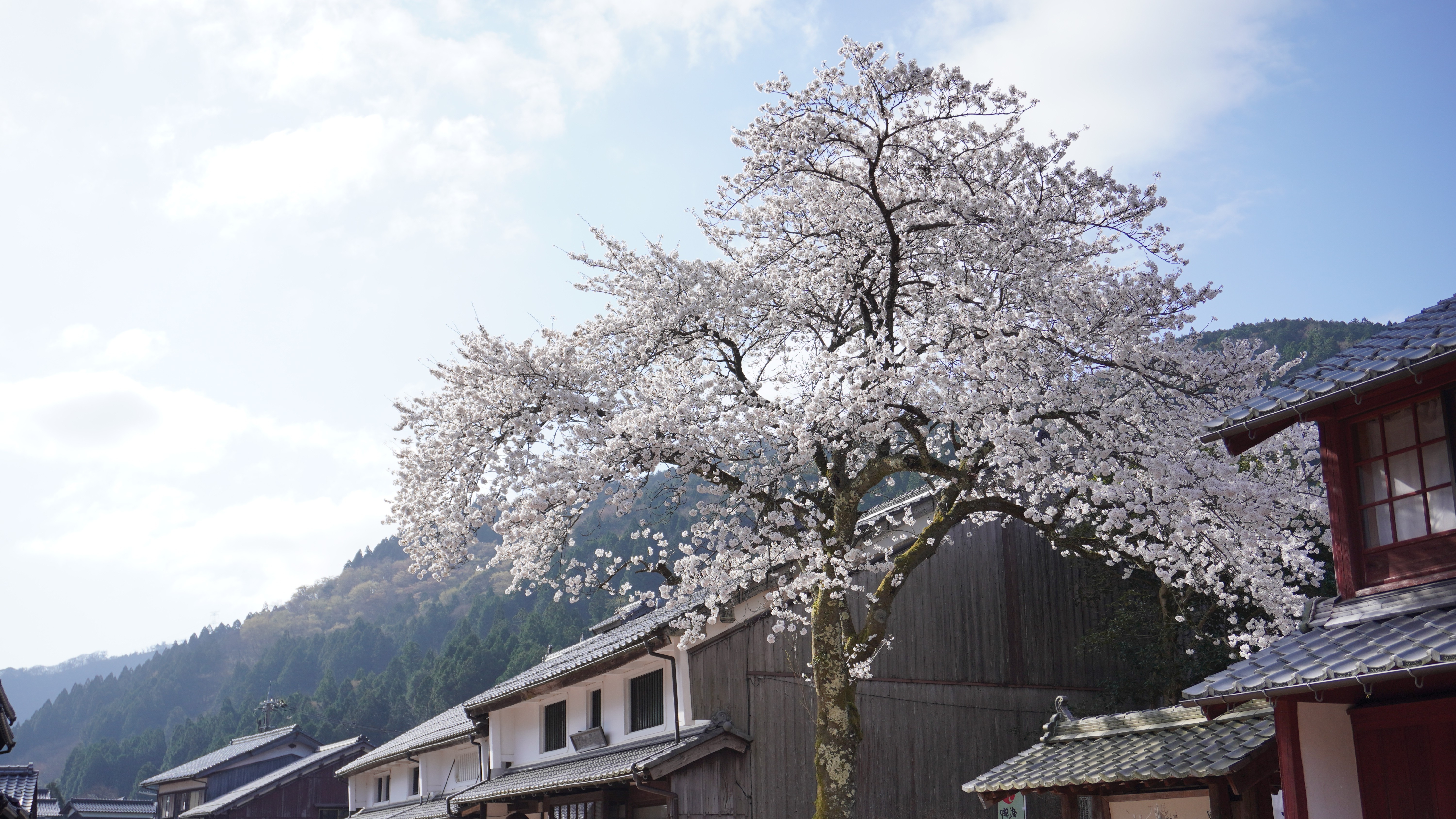 【文化財に指定された熊川宿の町並み】