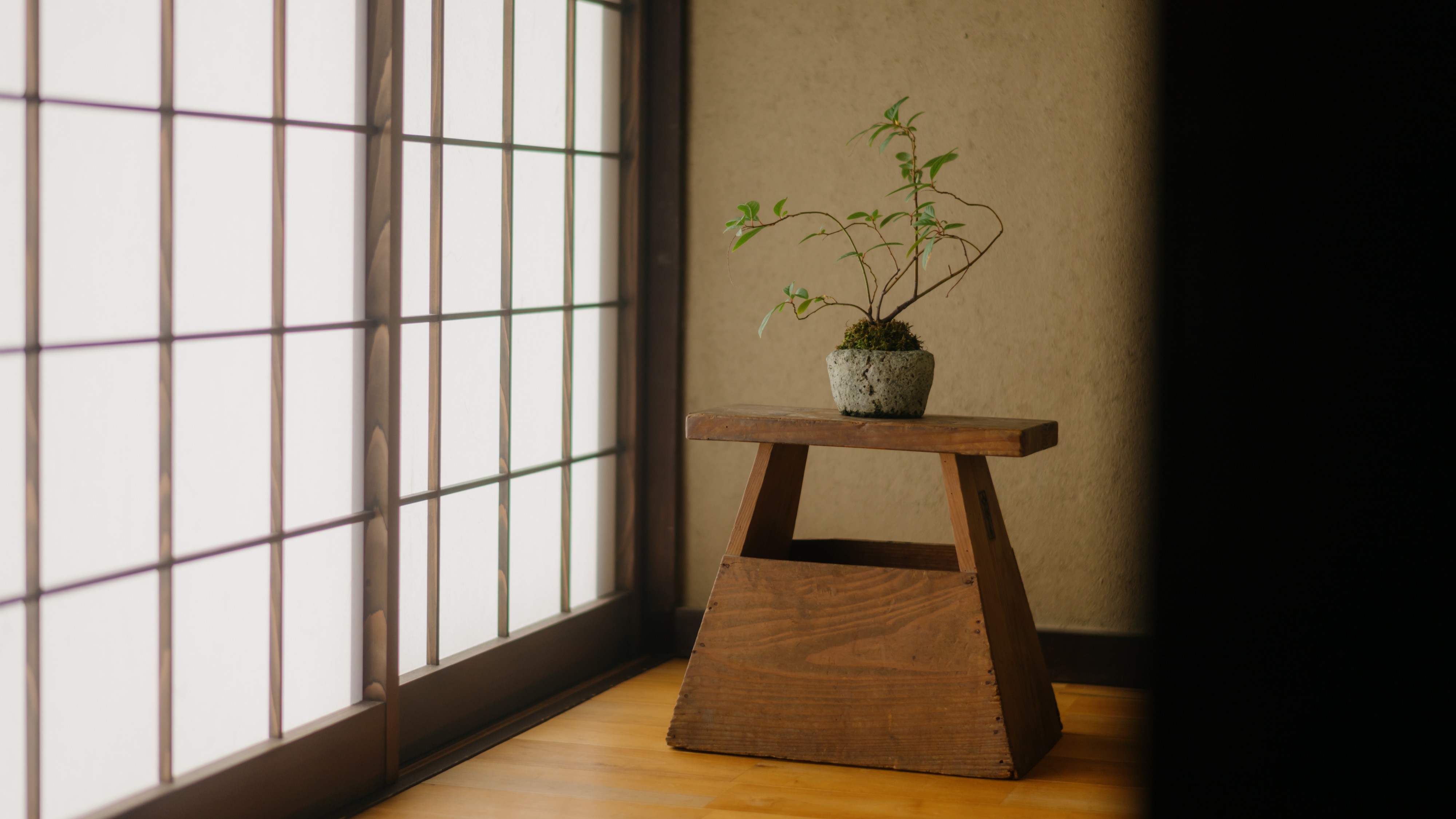 【ひばり】半棟貸し｜～５名｜カップル・友達グループにおすすめ