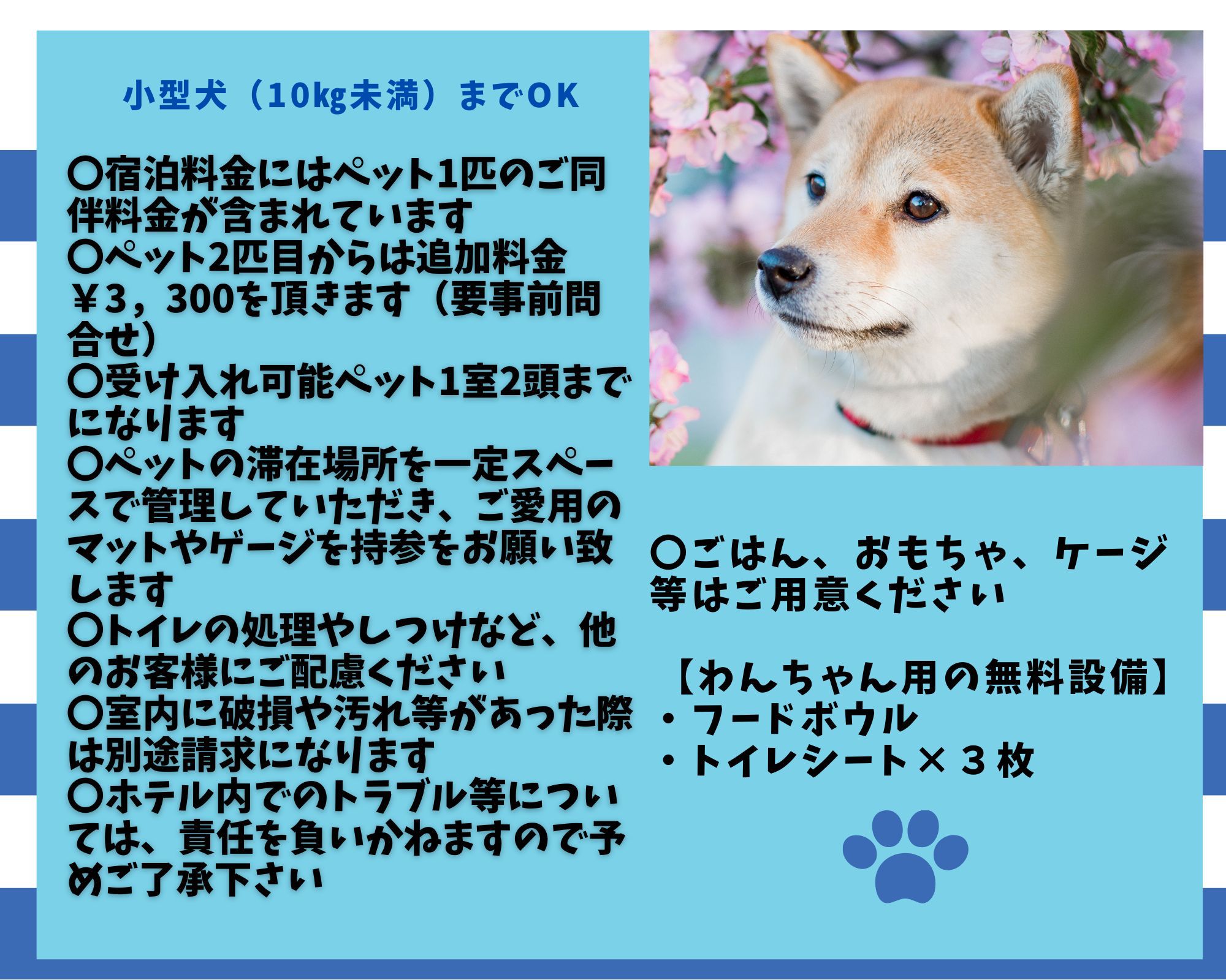 ペット注意事項