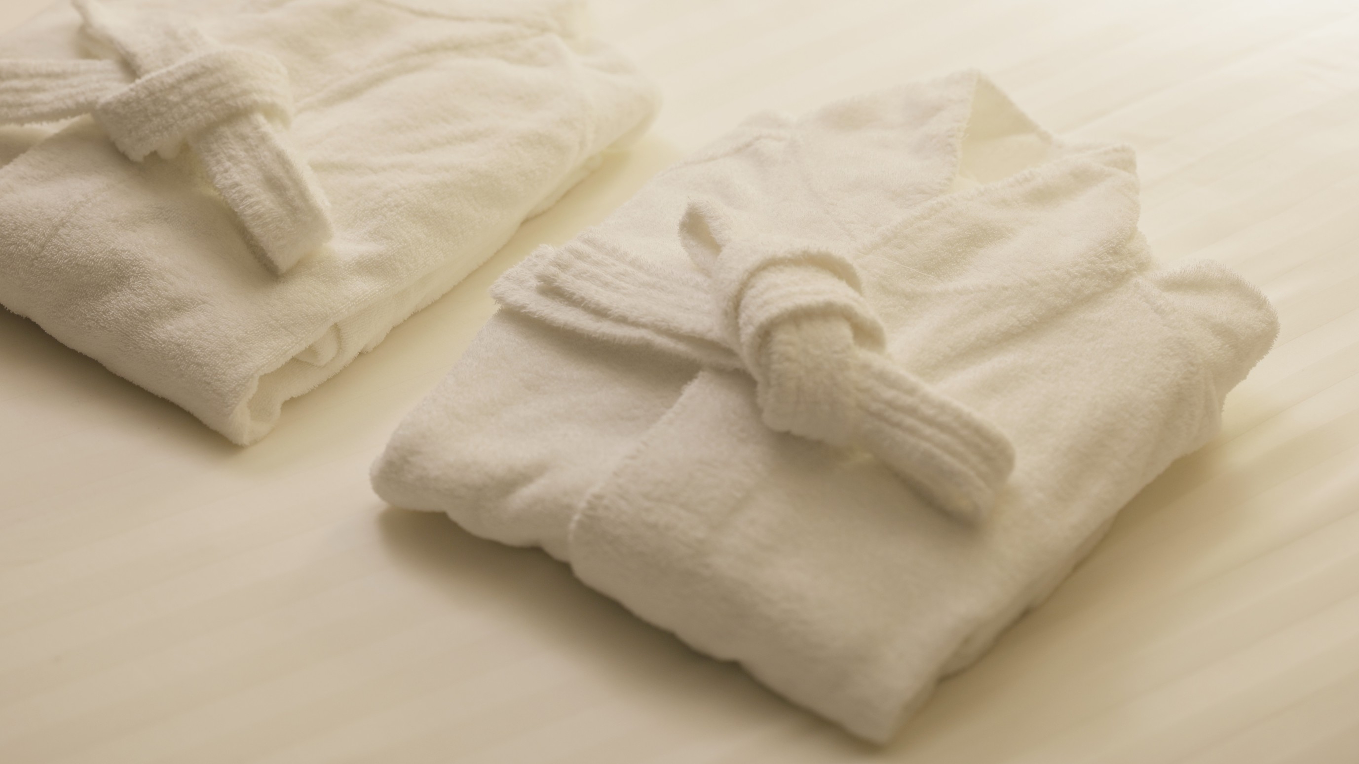 【LUXDAYSセール】金沢観光の中心地で優雅なホテルステイを満喫　食事なし