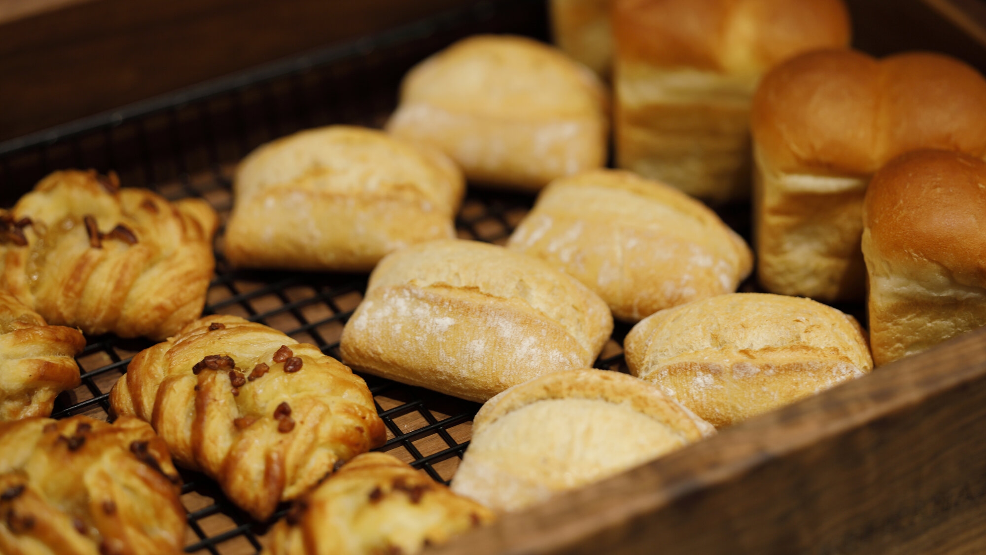 【ご夕食17：00スタート】開業記念特別コース│山楽邸が贈る美食体験　朝夕2食付