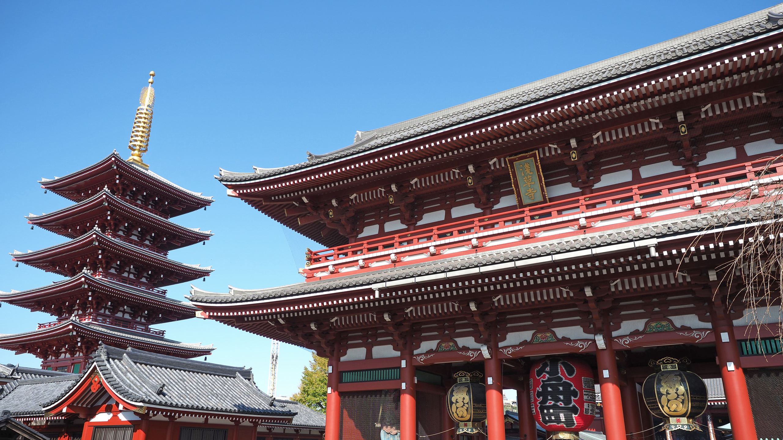 浅草寺　写真提供：台東区