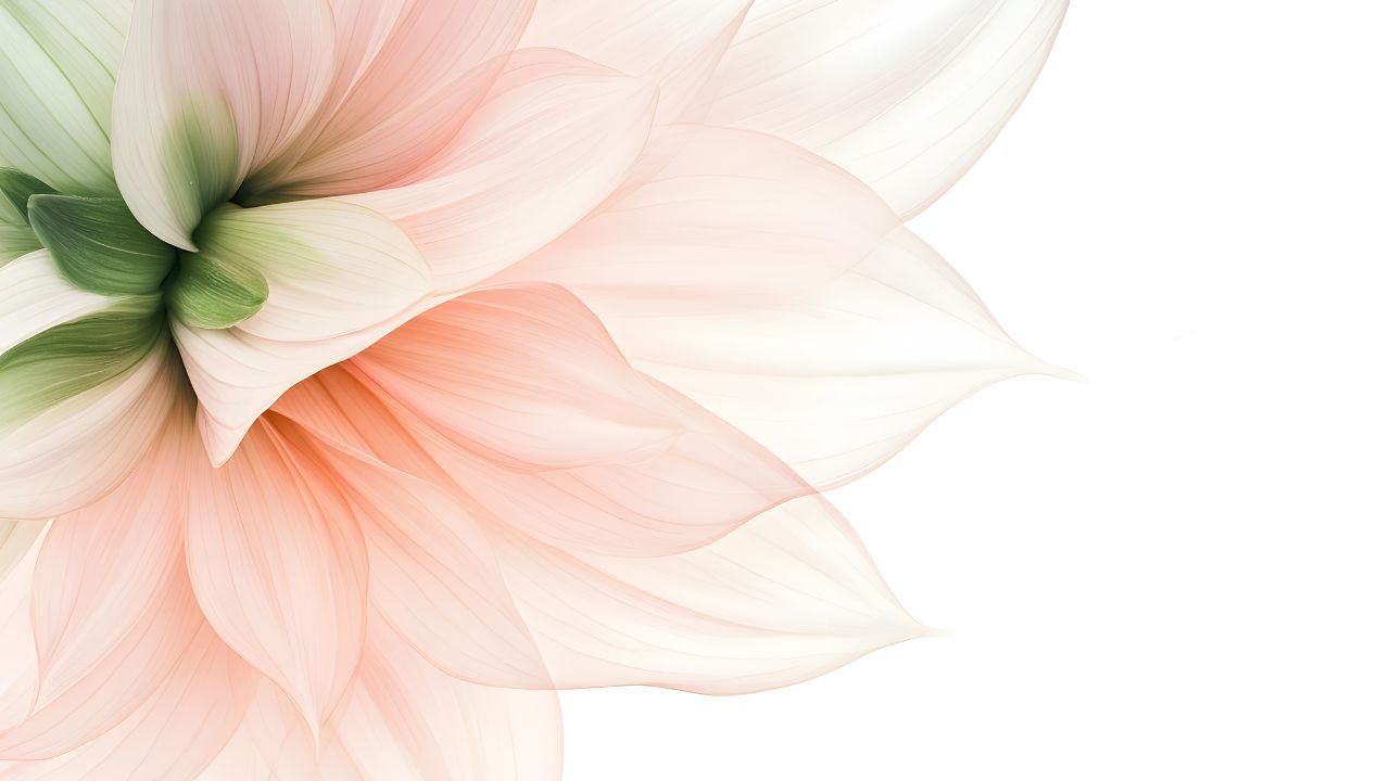 〜とびこみ宿泊大歓迎♪〜　≪美容/数量限定≫　■厳選スキンケアセット＆ボディソープ付き■　素泊まり　