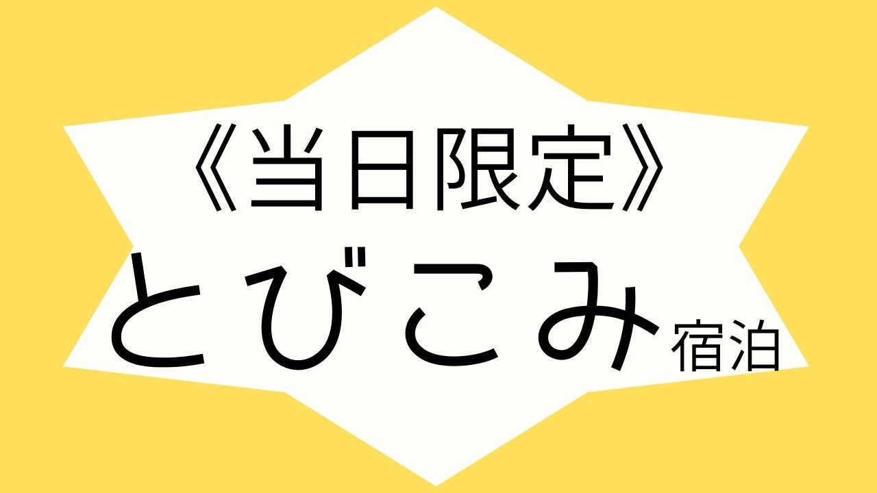 とびこみ宿泊大歓迎♪♪　〜当日限りのお得なプラン！〜　ネット限定◎　【素泊まり】