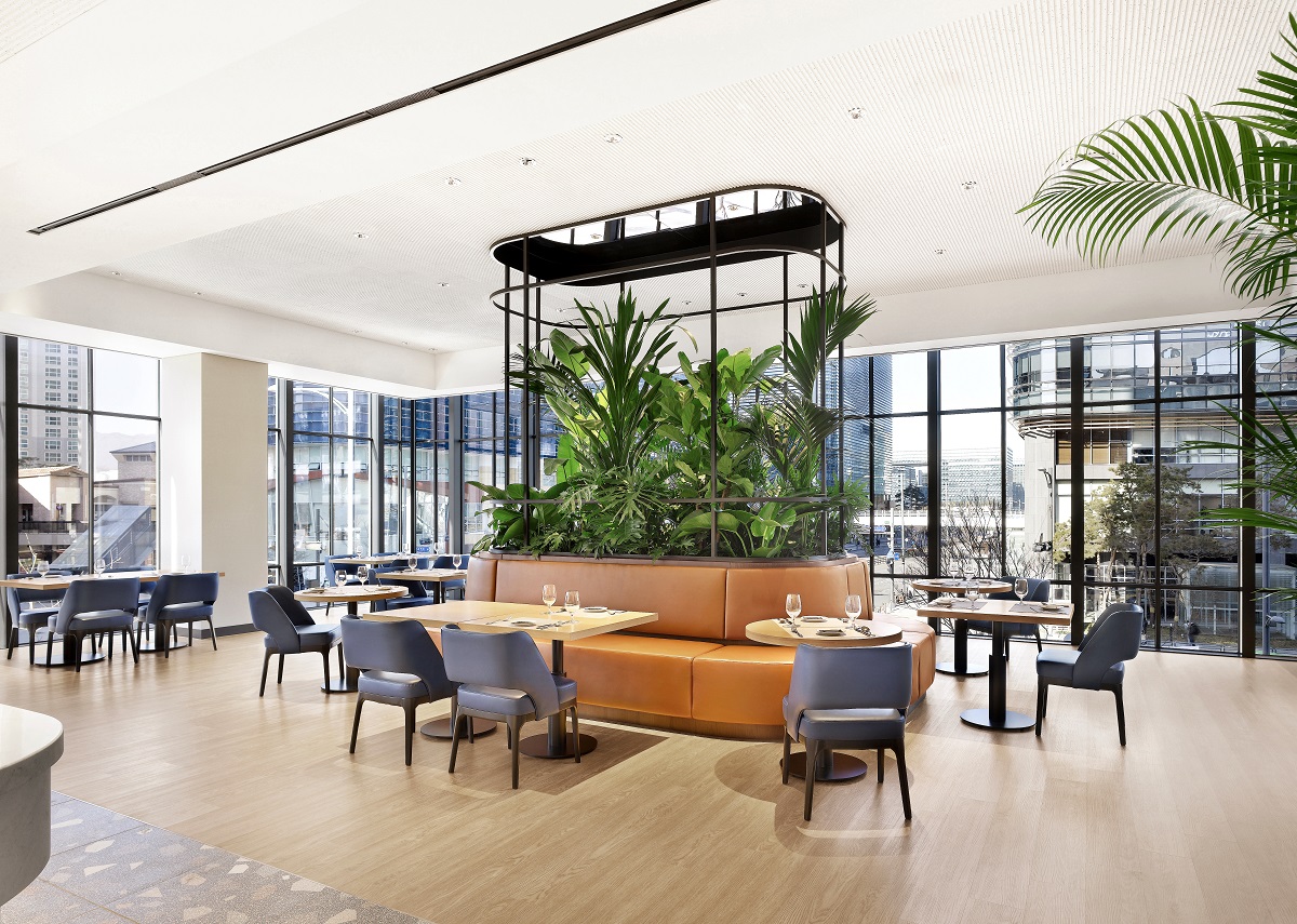 アンディッシュ