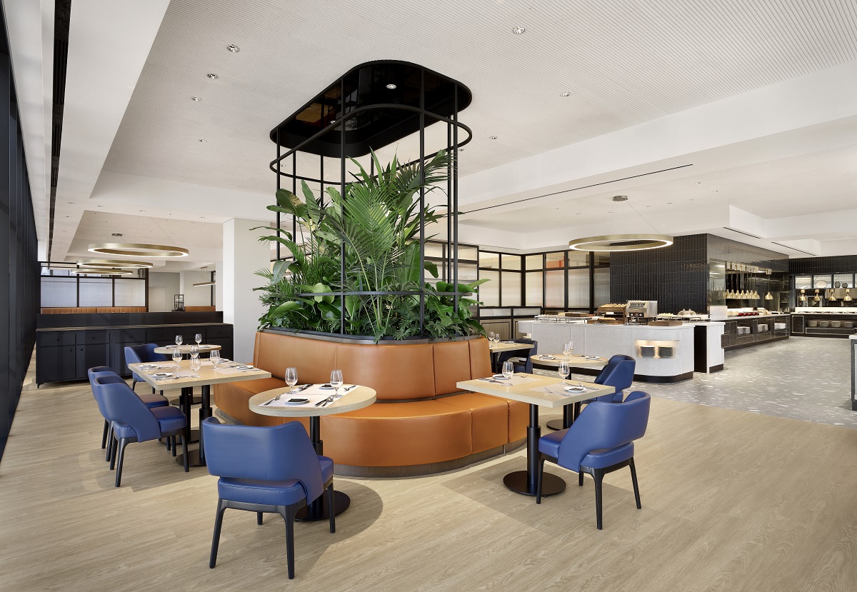 アンディッシュ