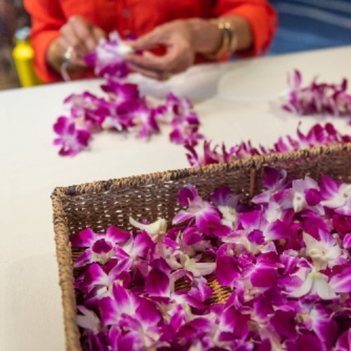 カルチャーアクティビティー