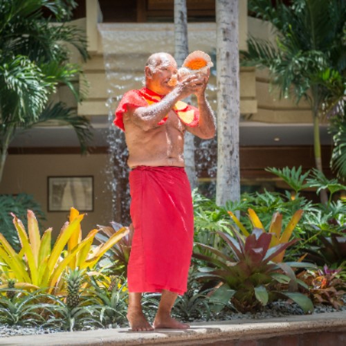 ハワイアンカルチャーアクティビティー イメージ