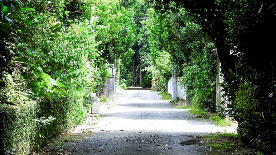 ・沖縄の原風景が広がる静かな集落　済井出（スムイデ）