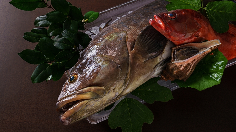 【期間限定】“幻の魚”クエを味わう贅沢ステイ
