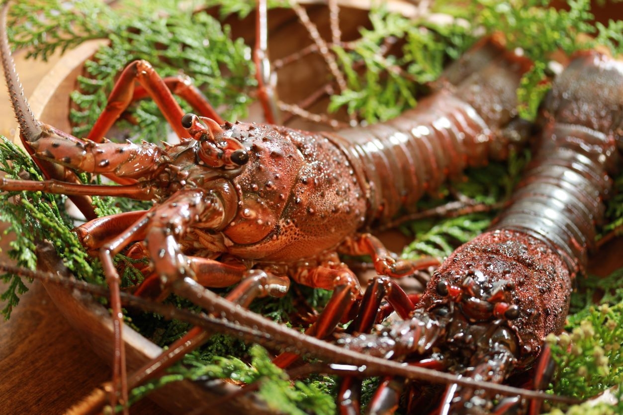 THE ROYAL VILLA　1泊2食付き