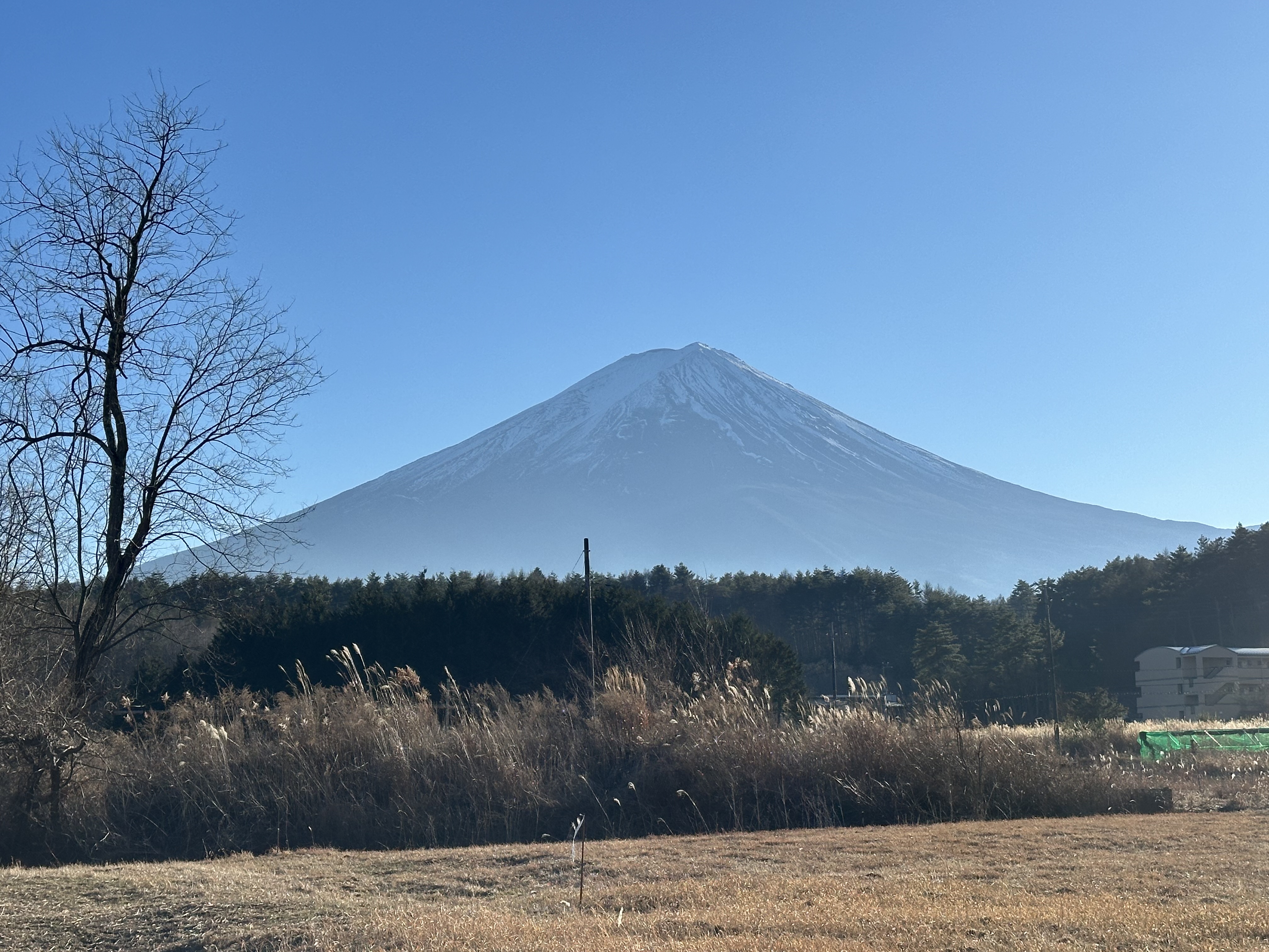 ふじ・ふもとの森温泉から徒歩12分、車で2分の絶景撮影スポット②