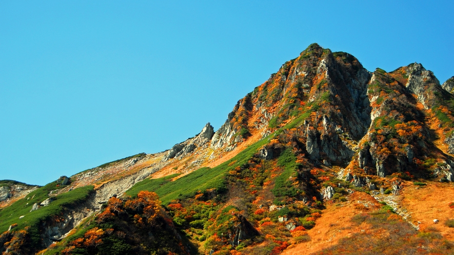 【周辺】10月下旬 紅葉の駒ケ岳