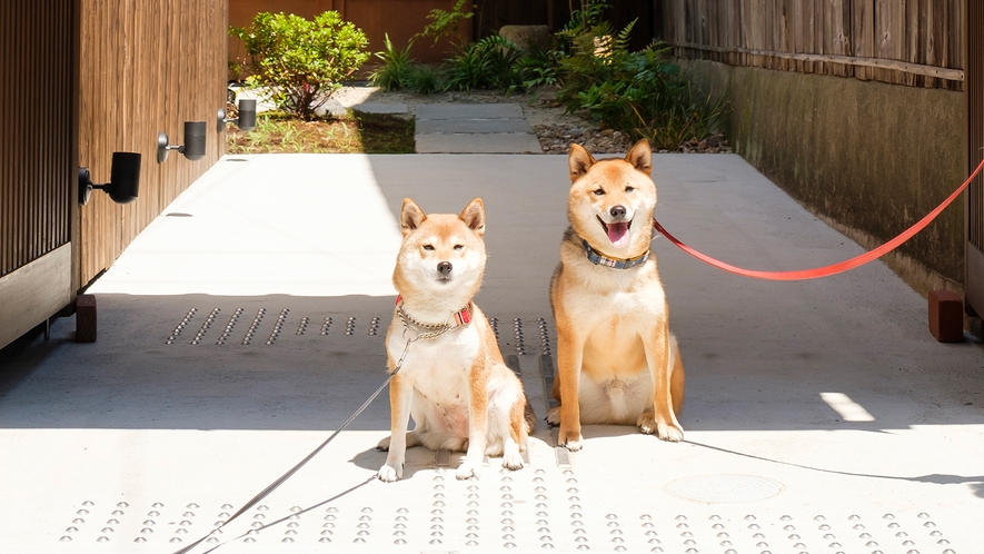 客室写真