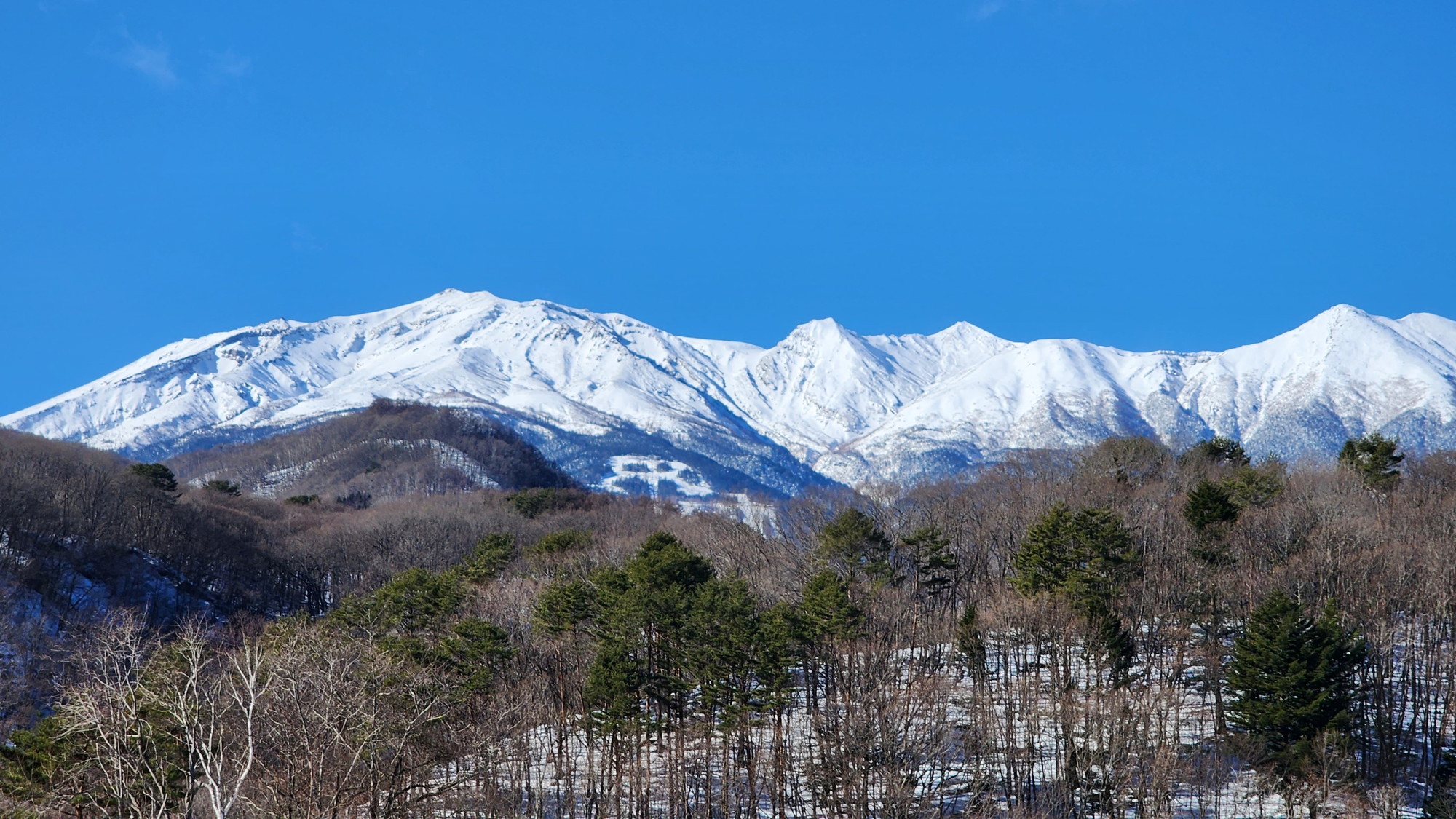 客室からの風景