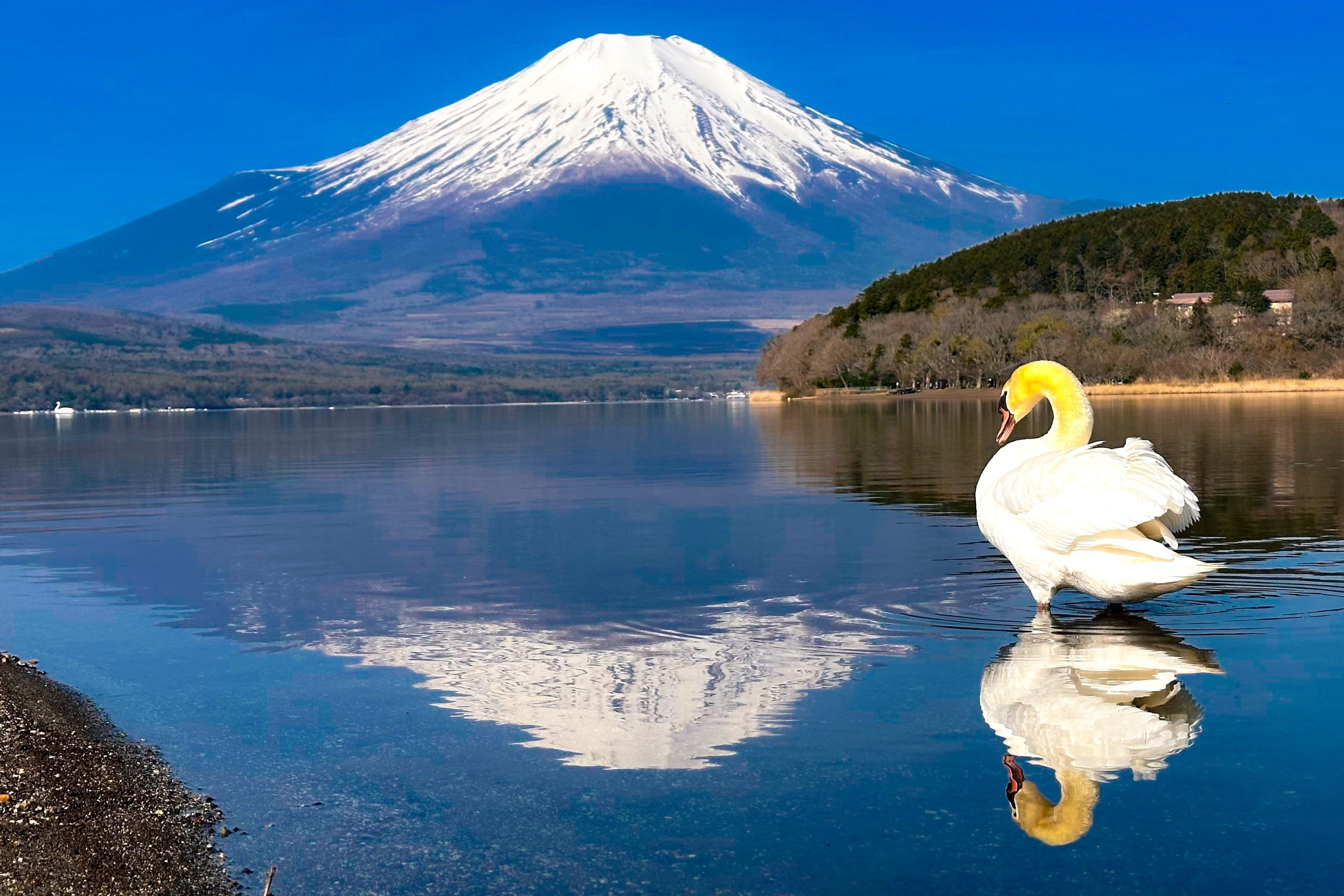 試乗におすすめ　ホテルから片道30分で山中湖へドライブ