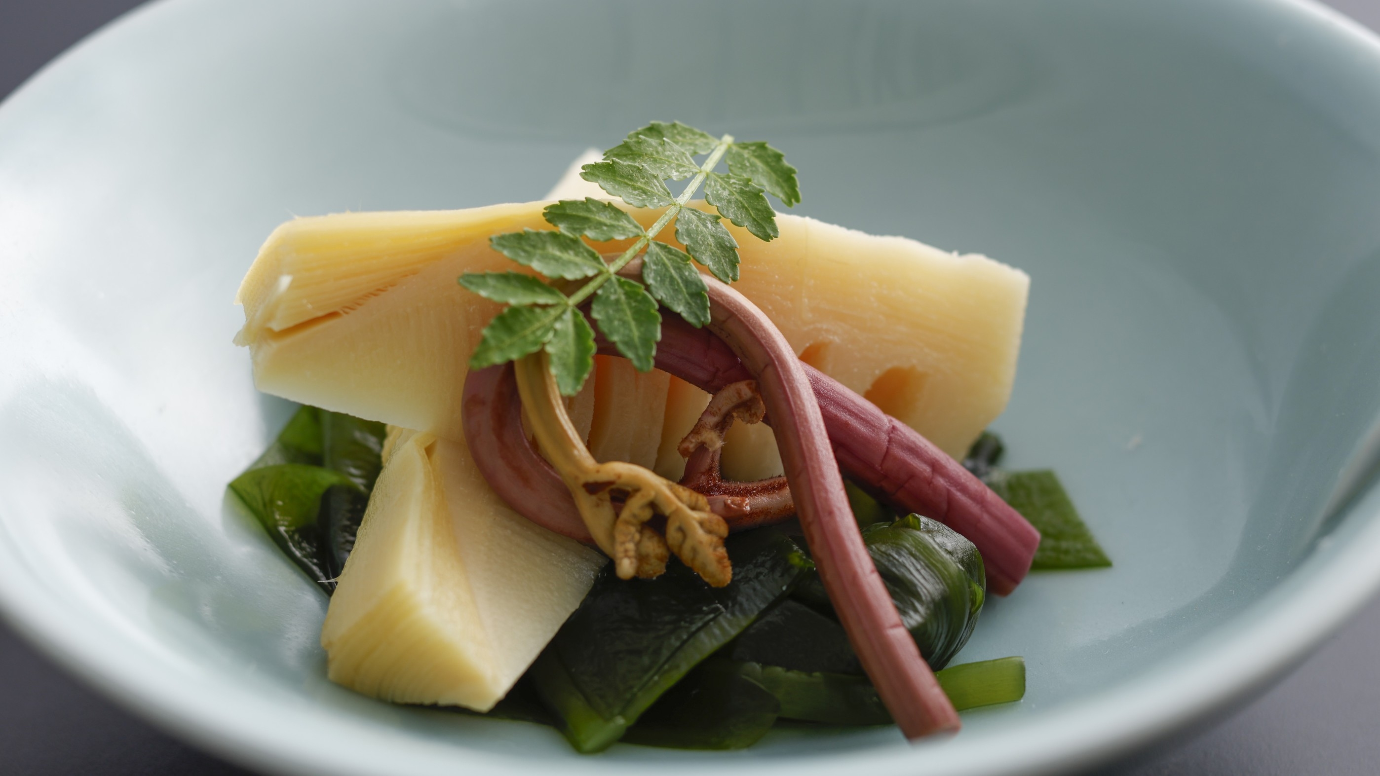 【春・少量美味懐石】丹後の春の味覚を量控えめで気軽に味わう！