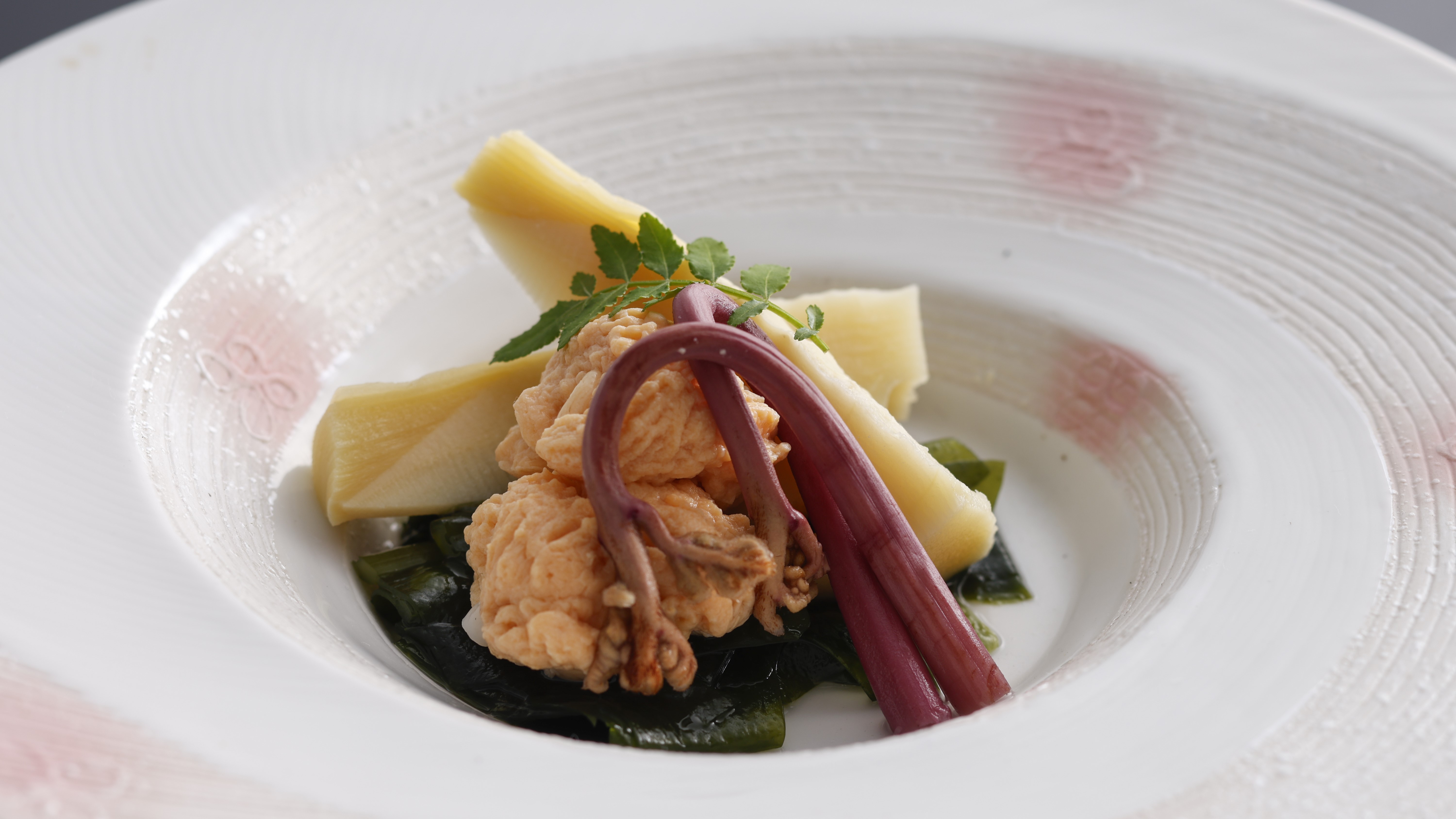 【春のお料理】焚合せ（若竹煮、鯛の子、わらび、木ノ芽）