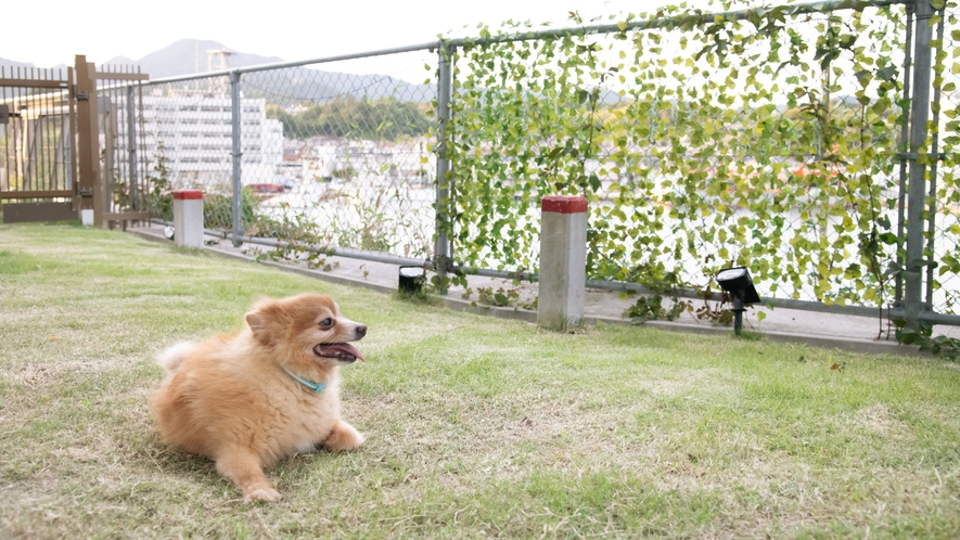 *【洋室ツイン＜ペット同宿OK＞】海を感じながら、ワンちゃんと一緒に癒しのひとときをご満喫ください。