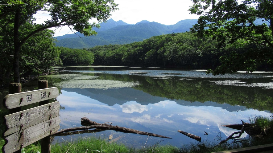 ・知床五湖-2