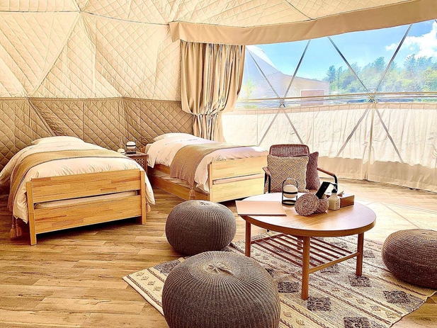 シングルドーム