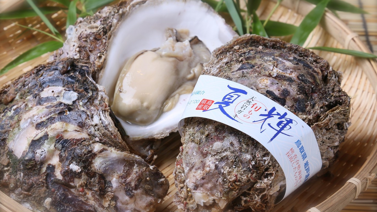 【楽天・極上食材】お料理グレードアッププラン　山陰のプレミアムブランド「岩ガキ」付き懐石