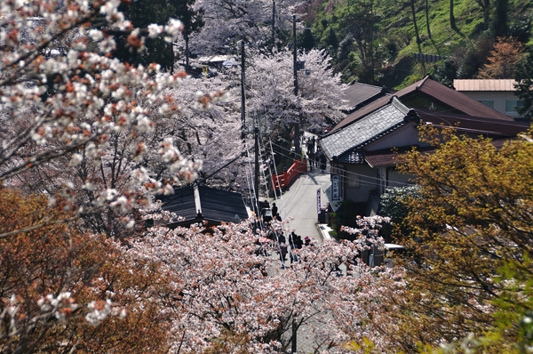 春の絶景【吉野山観桜】一目千本の吉野桜におススメプラン（2食付）