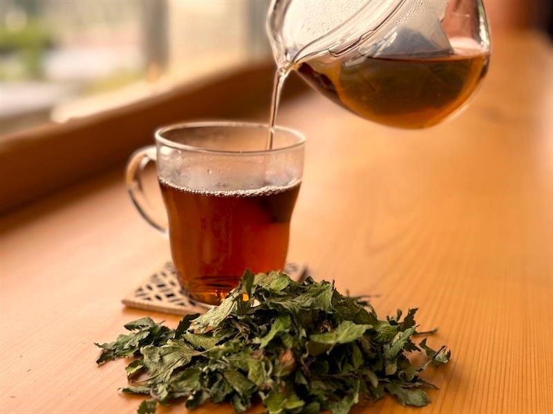 心と体が温まる大和当帰