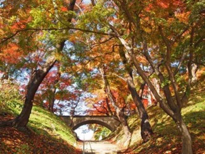 【南陽市・観光情報】烏帽子山(秋)(当館より徒歩5分)