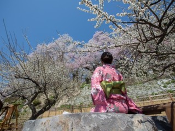 【御殿守・歳時記】花見の足湯