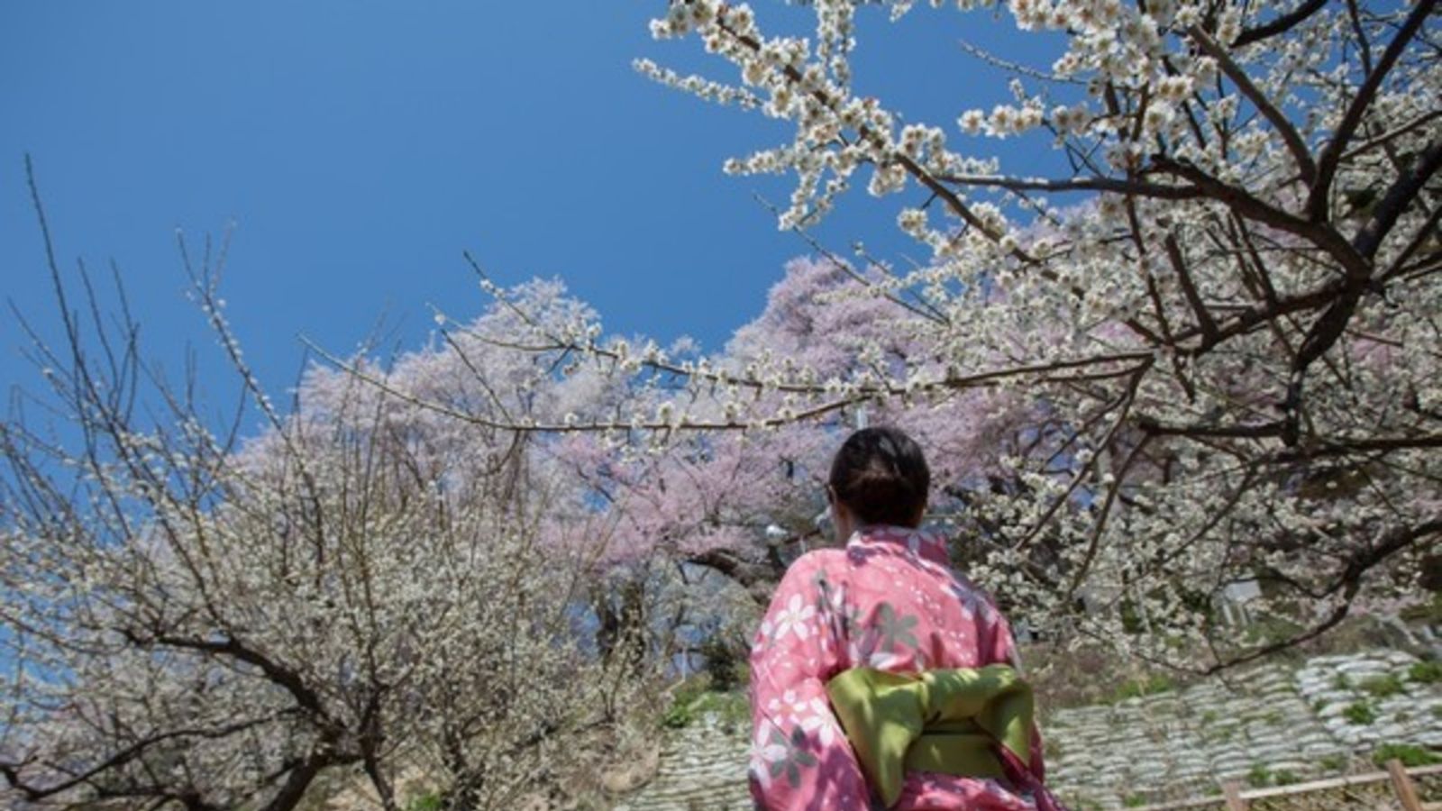 【御殿守・歳時記】花見の足湯