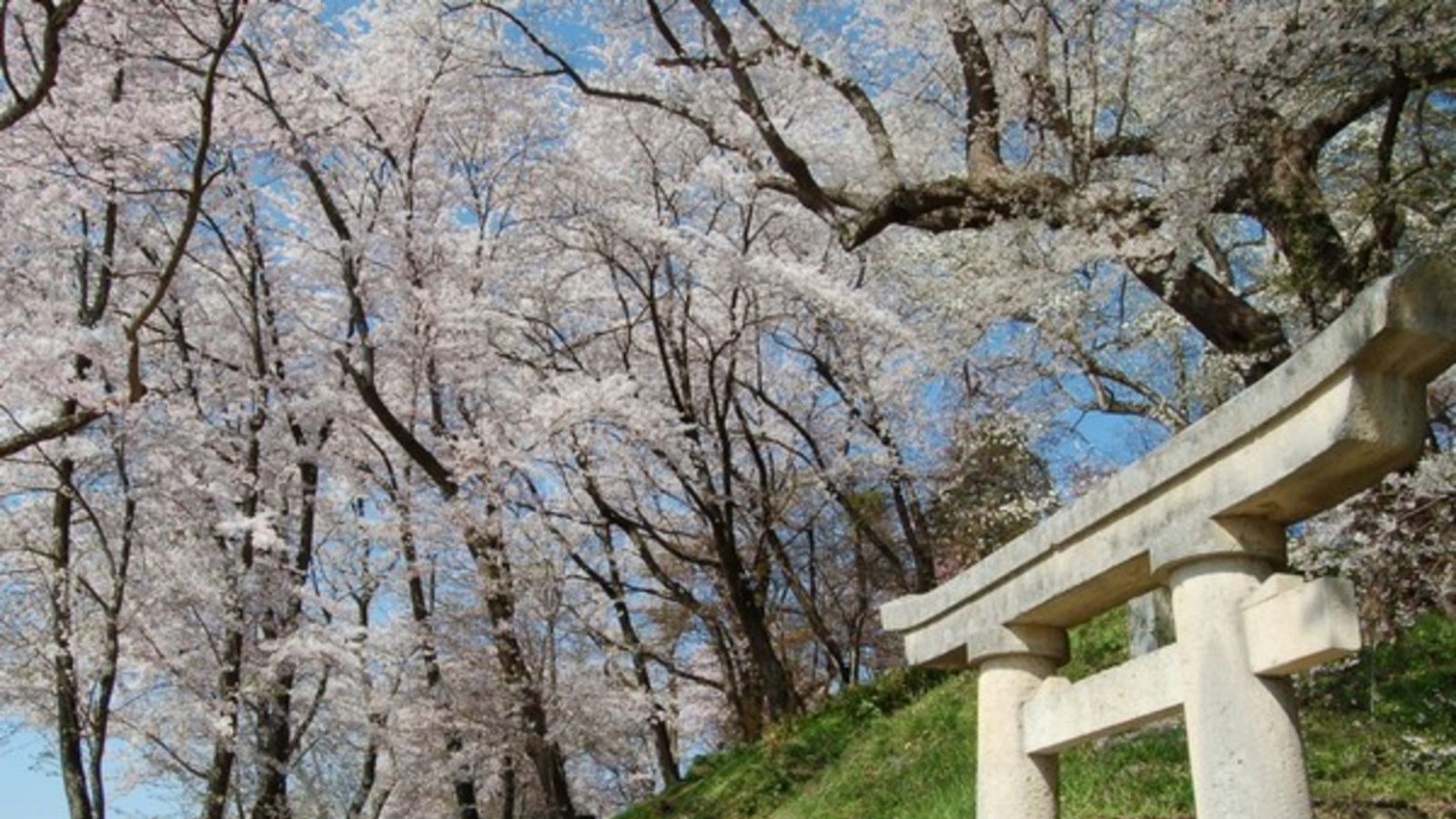 【南陽市・観光情報】赤湯観音鳥居前より(当館から徒歩5分)