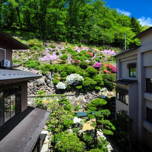 【館内で体験】烏帽子山の緑とコラボする、当館自慢の中庭。4月～5月はツツジが美しく庭を彩ります
