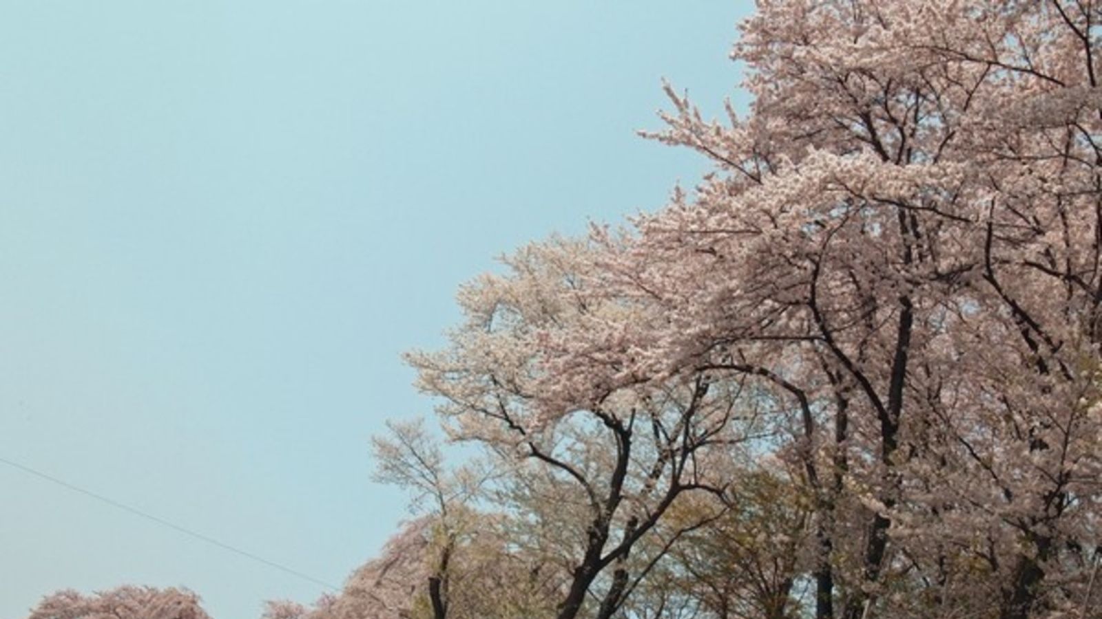 【南陽市・観光情報】烏帽子山(春)(当館より徒歩5分)