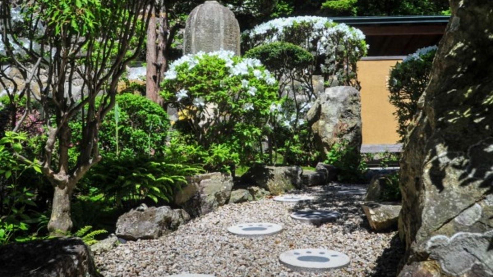 【館内で体験】中庭で可愛い足跡を発見♪他には何があるかな･･･