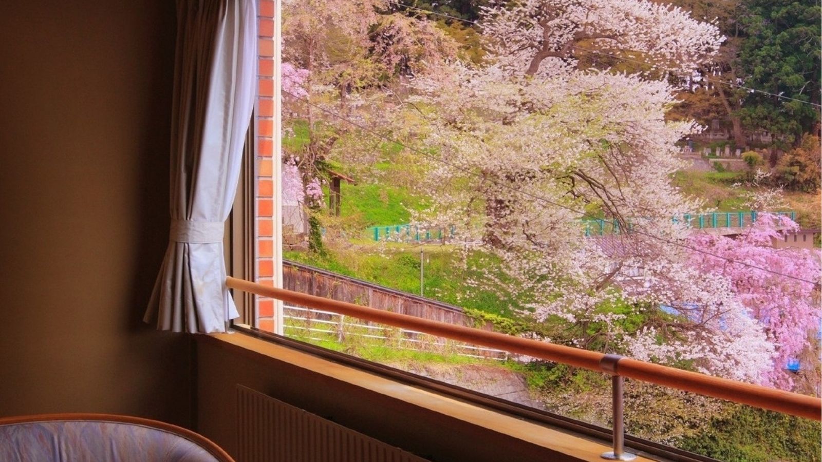 【東館特別室「山吹」からの桜】四季折々の眺めも魅力