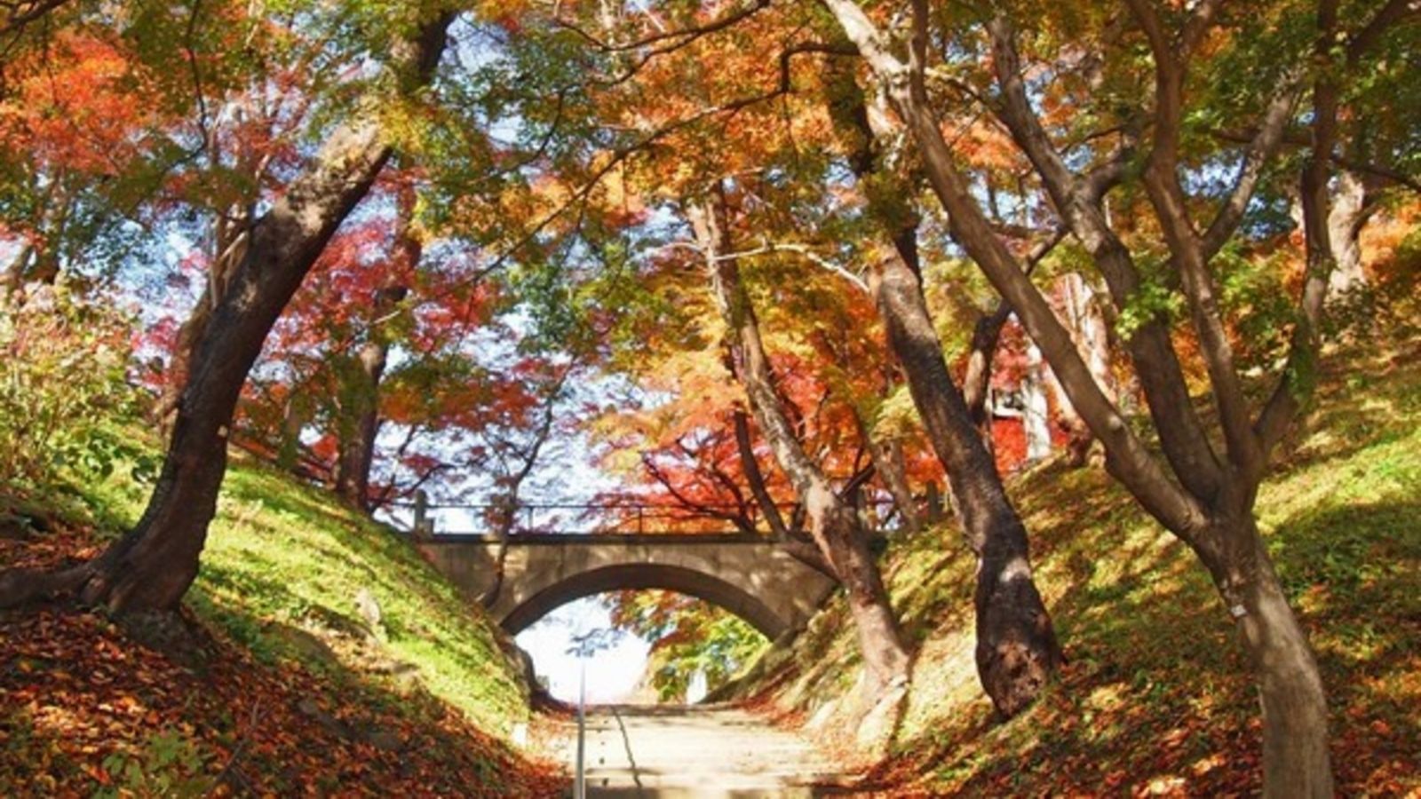 【南陽市・観光情報】烏帽子山(秋)(当館より徒歩5分)