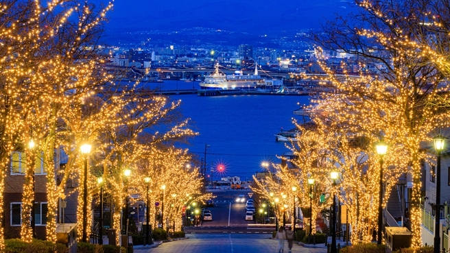 〈素泊／ペット不可〉【函館山ロープウェイ往復チケット付】函館山からの夜景を楽しむプラン